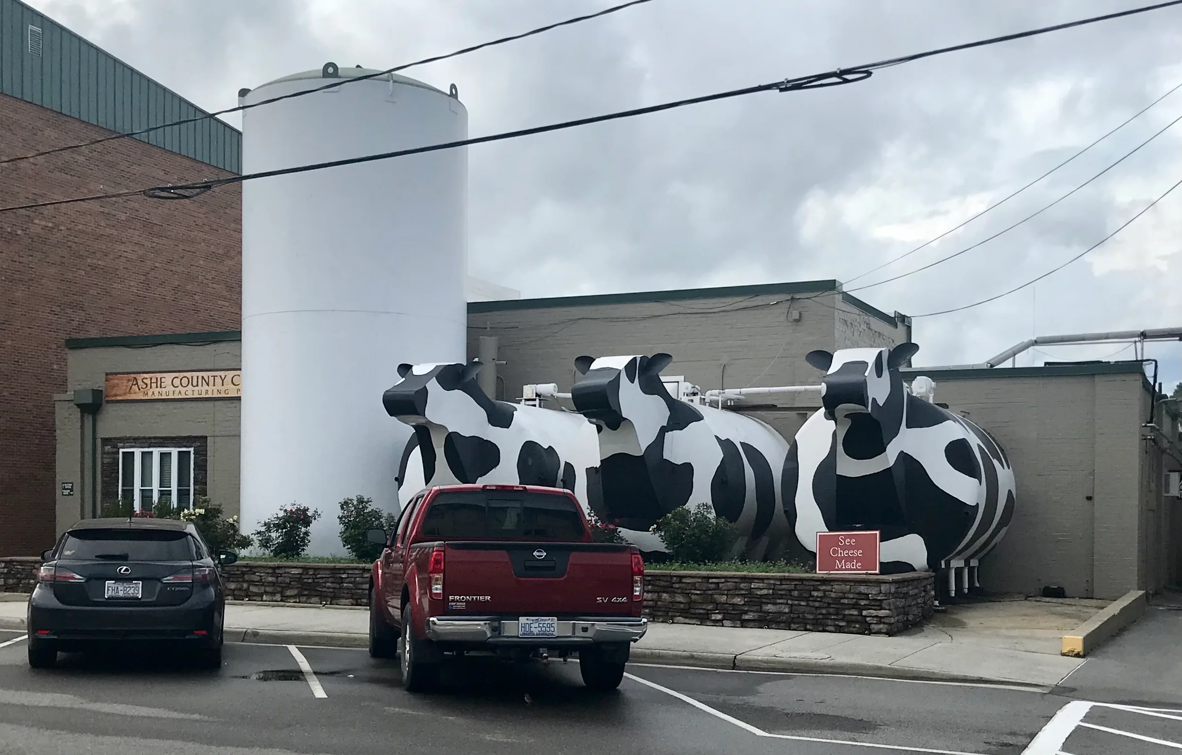 Giant black-and-white cow statues outside the Ashe County Cheese factory in West Jefferson, NC.