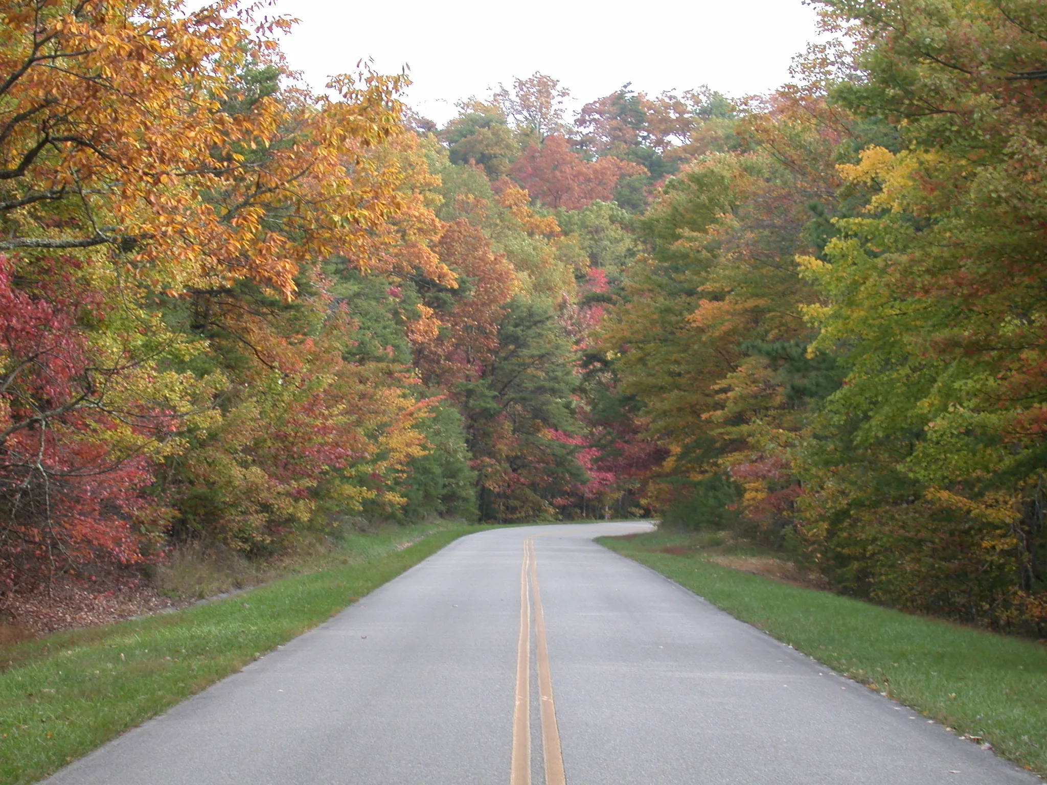 Blue Ridge Parkway winding through red and gold autumn trees in North Carolina.