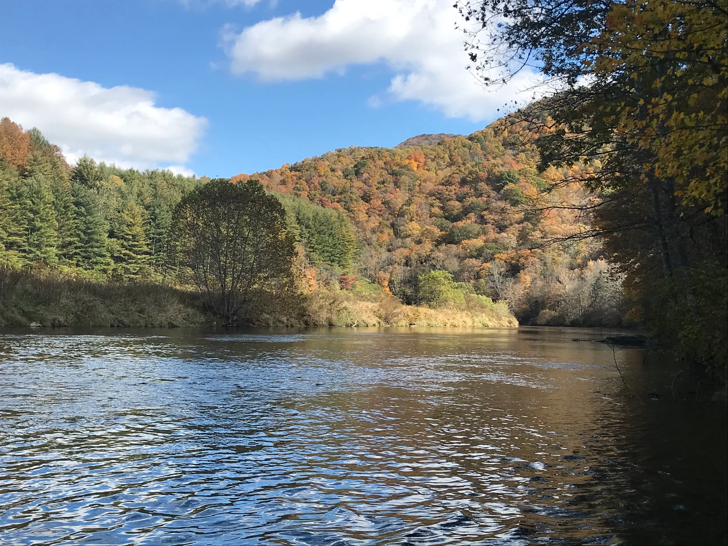 New River below orange and gold autumn mountainsides in New River State Park, Ashe County, NC.