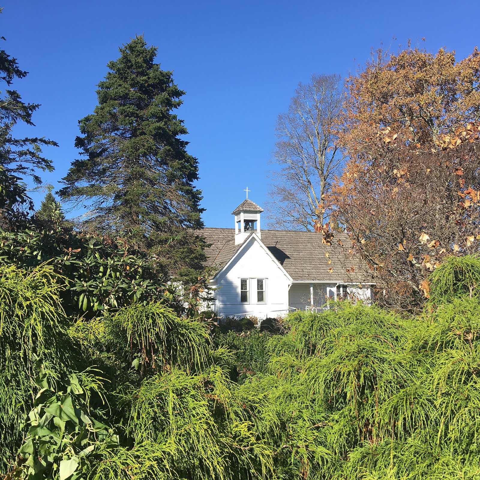 Exterior of Holy Trinity Episcopal Church in Glendale Springs, a white clapboard church with a small cupola among the trees