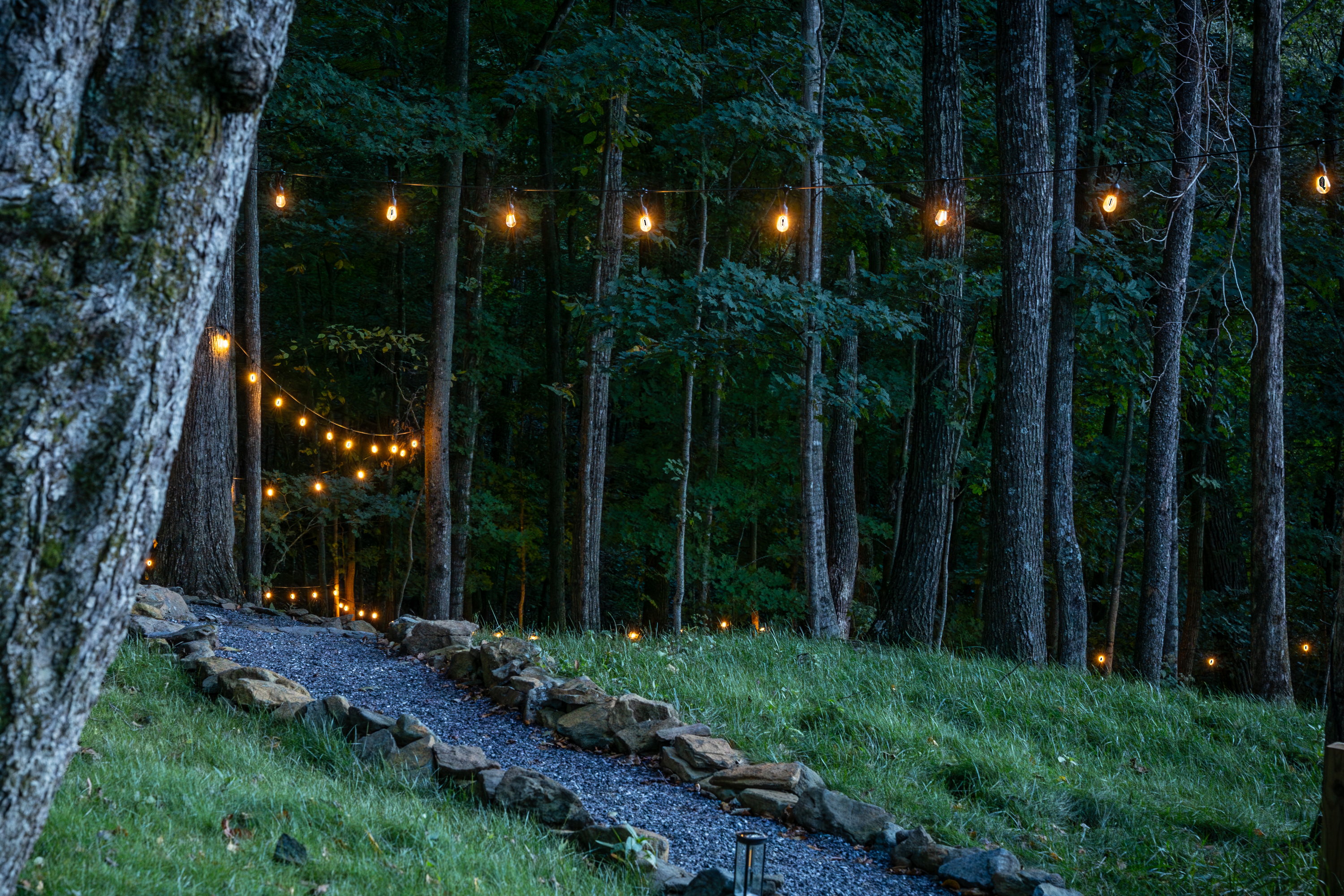 Gravel walking path with string lights through the trees at High Peak in West Jefferson, NC.